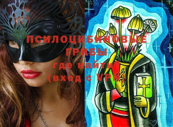 Альфа ПВП Вязники